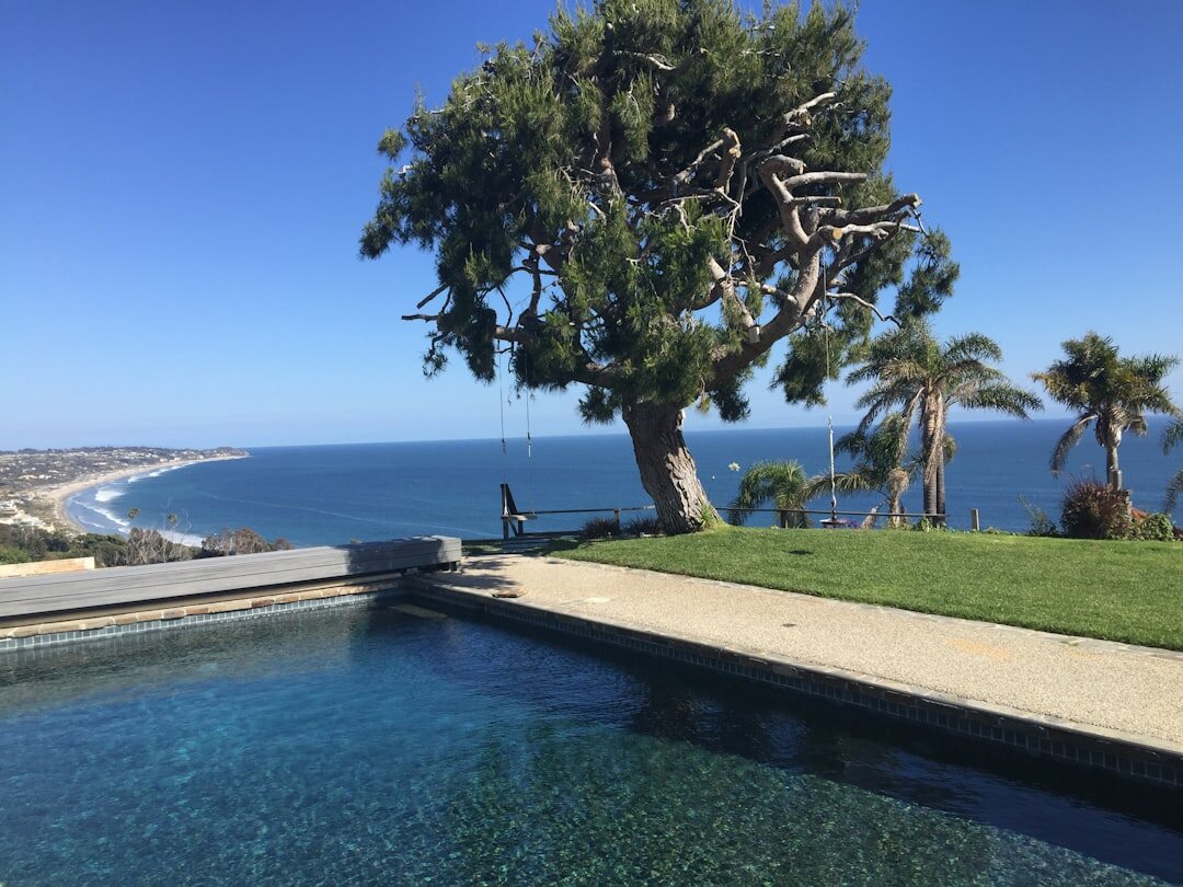 celebrity pool area